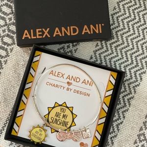 Alex and Ani charm bracelet